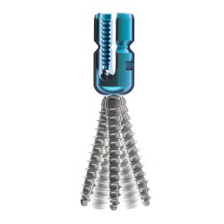 Posterior Spinal System