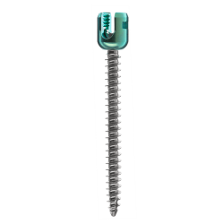 Posterior Spinal System