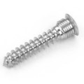 Locking Screws